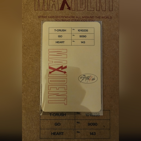 Maxident FELIX Case file Mini Album - Picture 8 of 8